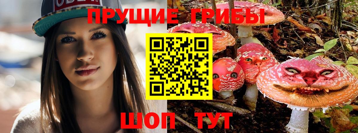 Псилоцибиновые грибы прущие грибы  Псилоцибиновые грибы Cubensis  Михайловск  Вход с VPN 