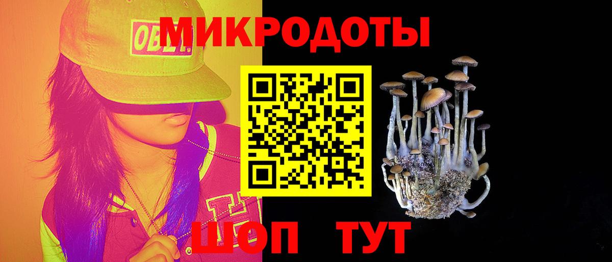 Псилоцибиновые грибы Psilocybine cubensis Михайловск